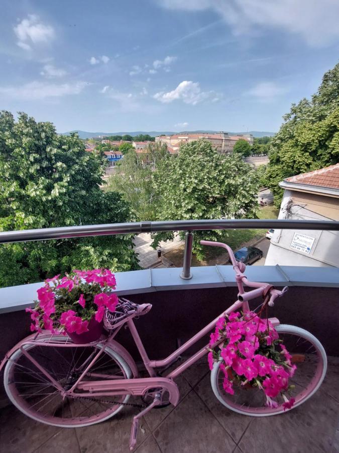 Apartament Melinaki Nisz Zewnętrze zdjęcie
